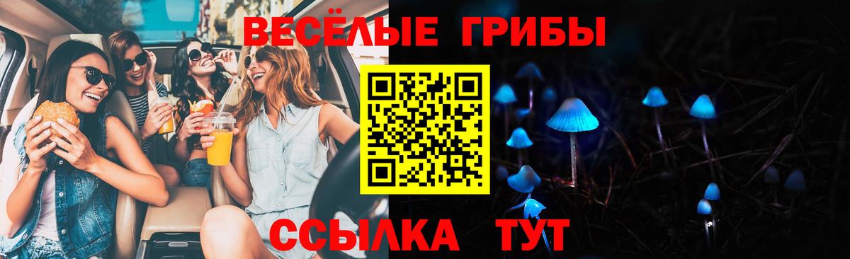 Псилоцибиновые грибы мухоморы  Вход с VPN  Кузнецк  Галлюциногенные грибы Psilocybine cubensis 